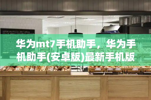 华为mt7手机助手，华为手机助手(安卓版)最新手机版下载-第1张图片-星选测评