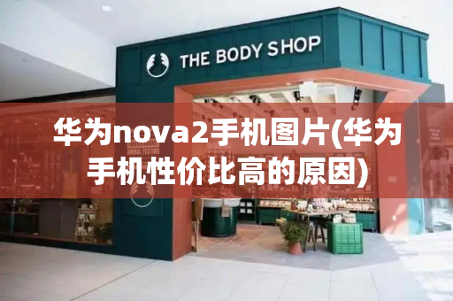 华为nova2手机图片(华为手机性价比高的原因)