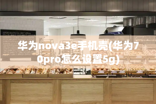 华为nova3e手机壳(华为70pro怎么设置5g)
