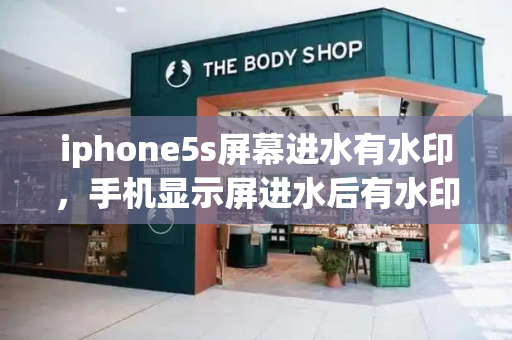 iphone5s屏幕进水有水印，手机显示屏进水后有水印怎么办