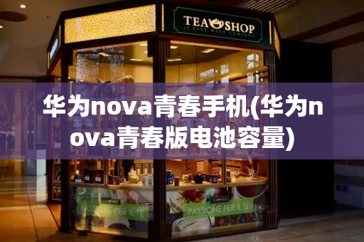 华为nova青春手机(华为nova青春版电池容量)