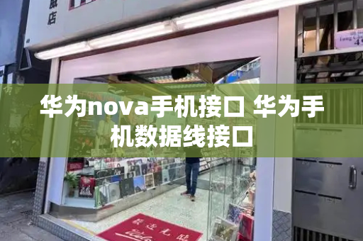 华为nova手机接口 华为手机数据线接口-第1张图片-星选测评