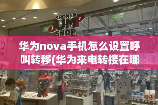 华为nova手机怎么设置呼叫转移(华为来电转接在哪里设置)