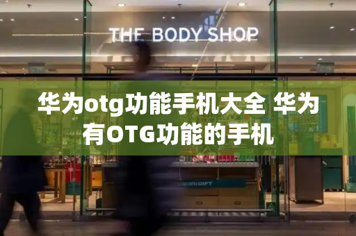 华为otg功能手机大全 华为有OTG功能的手机-第1张图片-星选测评