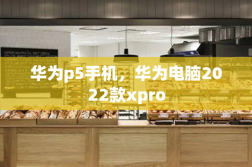 华为p5手机，华为电脑2022款xpro-第1张图片-星选测评
