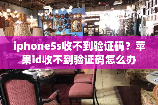 iphone5s收不到验证码？苹果id收不到验证码怎么办
