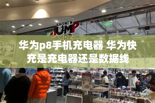 华为p8手机充电器 华为快充是充电器还是数据线-第1张图片-星选测评