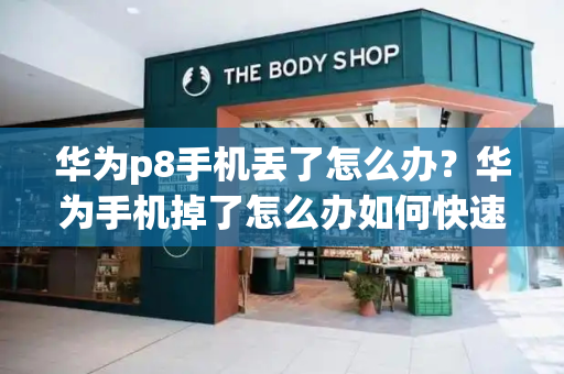 华为p8手机丢了怎么办？华为手机掉了怎么办如何快速找回-第1张图片-星选测评