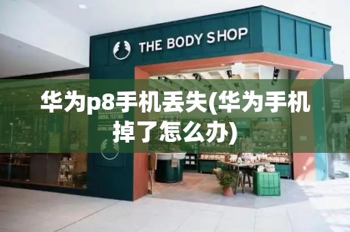 华为p8手机丢失(华为手机掉了怎么办)-第1张图片-星选测评