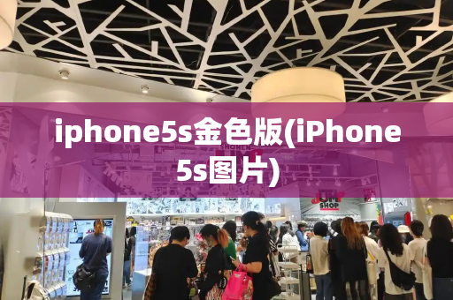 iphone5s金色版(iPhone5s图片)