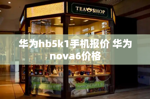 华为hb5k1手机报价 华为nova6价格