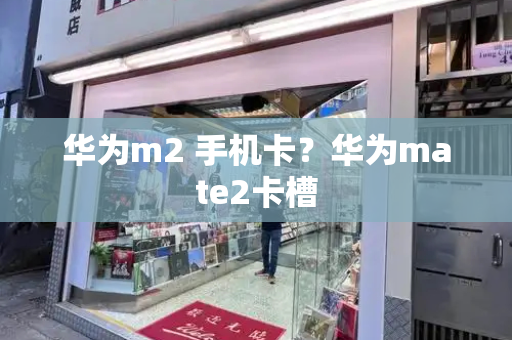 华为m2 手机卡？华为mate2卡槽-第1张图片-星选测评