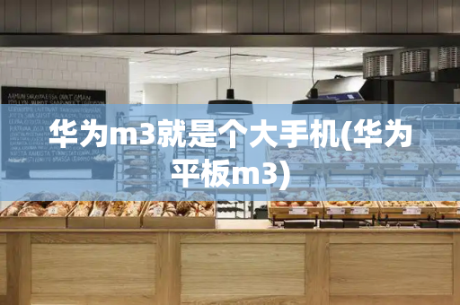 华为m3就是个大手机(华为平板m3)-第1张图片-星选测评