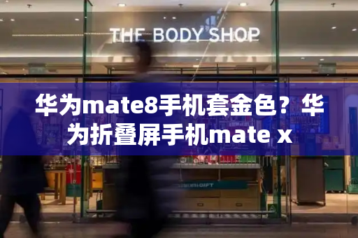 华为mate8手机套金色？华为折叠屏手机mate x