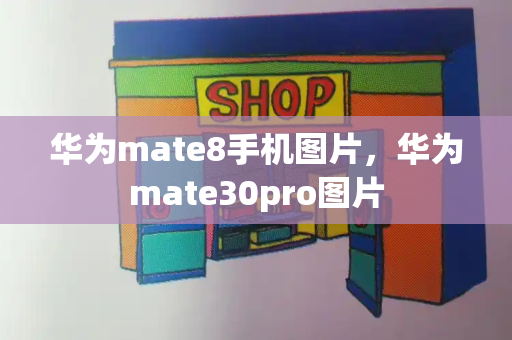 华为mate8手机图片，华为mate30pro图片