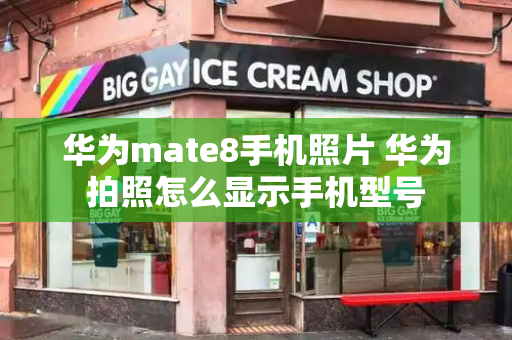 华为mate8手机照片 华为拍照怎么显示手机型号-第1张图片-星选测评
