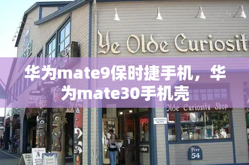 华为mate9保时捷手机，华为mate30手机壳-第1张图片-星选测评