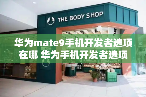 华为mate9手机开发者选项在哪 华为手机开发者选项打开方法