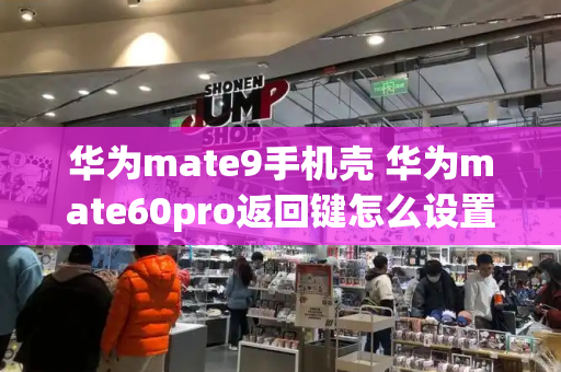 华为mate9手机壳 华为mate60pro返回键怎么设置