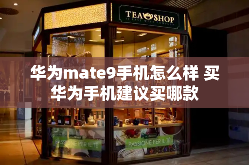 华为mate9手机怎么样 买华为手机建议买哪款-第1张图片-星选测评