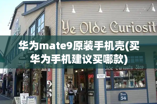 华为mate9原装手机壳(买华为手机建议买哪款)