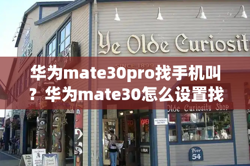 华为mate30pro找手机叫？华为mate30怎么设置找到手机-第1张图片-星选测评