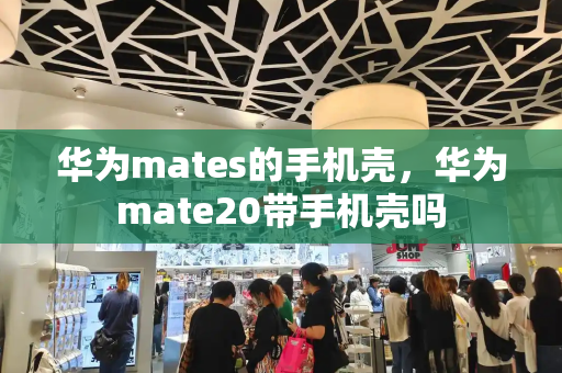 华为mates的手机壳，华为mate20带手机壳吗-第1张图片-星选测评