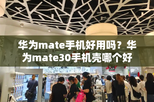 华为mate手机好用吗？华为mate30手机壳哪个好-第1张图片-星选测评