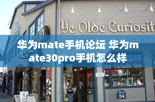 华为mate手机论坛 华为mate30pro手机怎么样