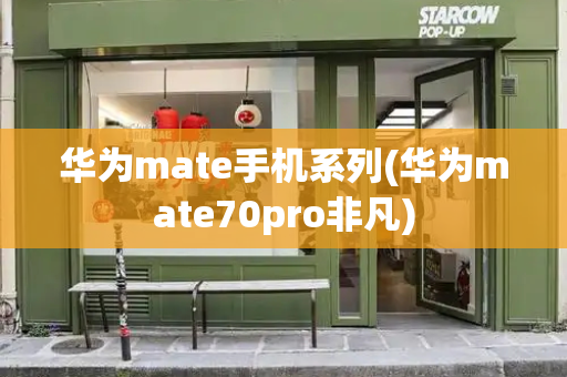 华为mate手机系列(华为mate70pro非凡)