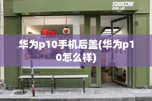 华为p10手机后盖(华为p10怎么样)-第1张图片-星选测评