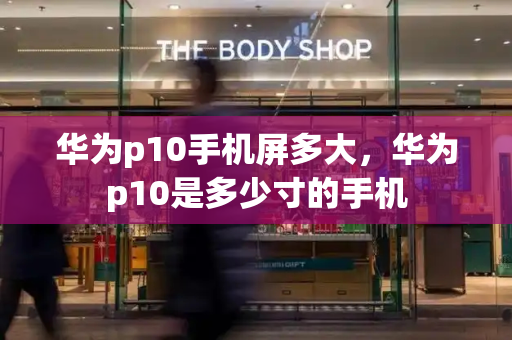 华为p10手机屏多大，华为p10是多少寸的手机-第1张图片-星选测评