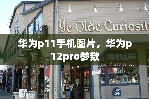 华为p11手机图片，华为p12pro参数