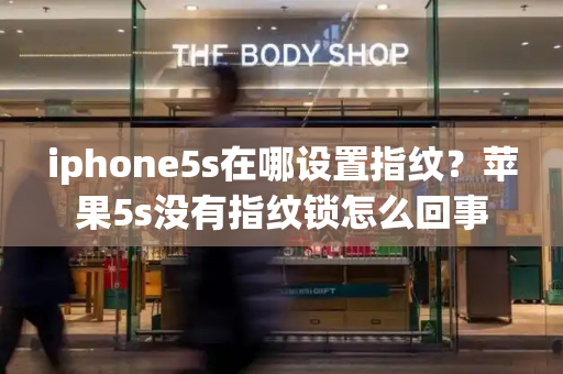 iphone5s在哪设置指纹？苹果5s没有指纹锁怎么回事-第1张图片-星选测评