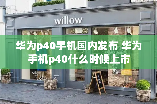 华为p40手机国内发布 华为手机p40什么时候上市-第1张图片-星选测评