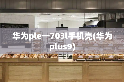 华为ple一703l手机壳(华为plus9)-第1张图片-星选测评