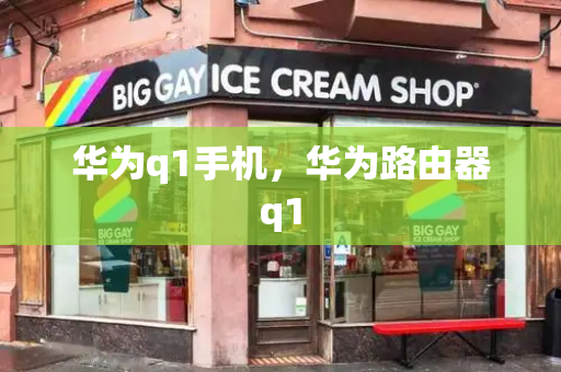华为q1手机，华为路由器q1-第1张图片-星选测评