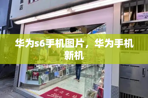 华为s6手机图片，华为手机新机-第1张图片-星选测评