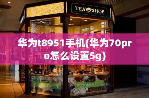 华为t8951手机(华为70pro怎么设置5g)