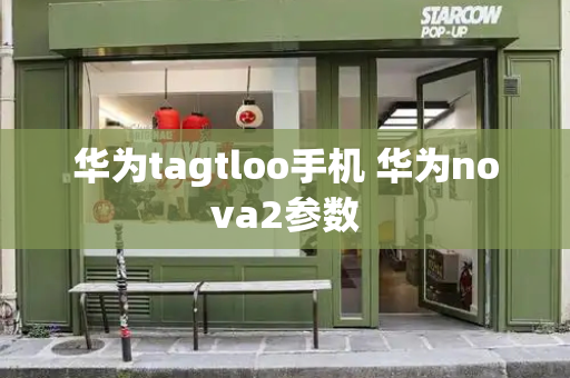 华为tagtloo手机 华为nova2参数