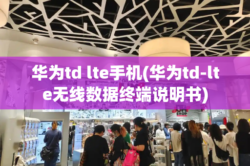 华为td lte手机(华为td-lte无线数据终端说明书)-第1张图片-星选测评