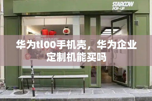 华为tl00手机壳，华为企业定制机能买吗