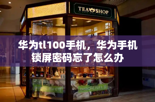 华为tl100手机，华为手机锁屏密码忘了怎么办