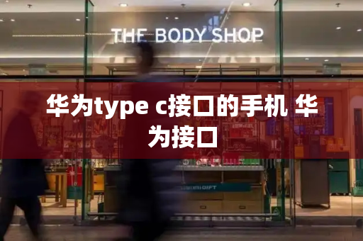 华为type c接口的手机 华为接口-第1张图片-星选测评