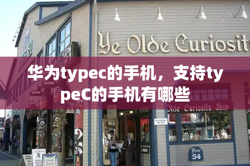 华为typec的手机，支持typeC的手机有哪些-第1张图片-星选测评