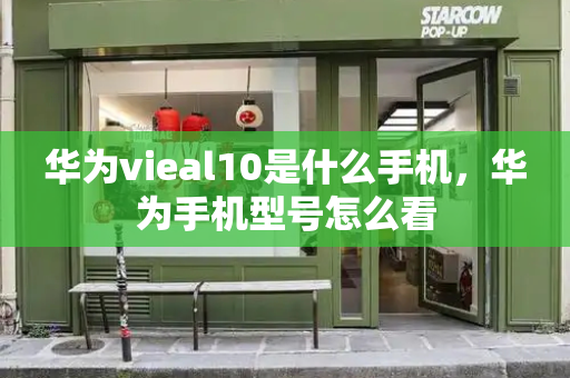 华为vieal10是什么手机，华为手机型号怎么看-第1张图片-星选测评