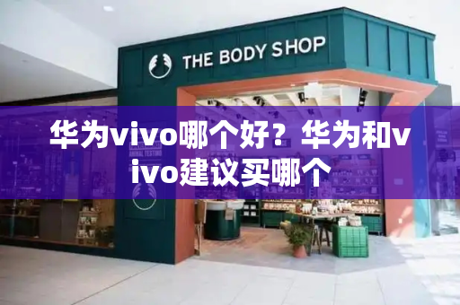 华为vivo哪个好？华为和vivo建议买哪个-第1张图片-星选测评