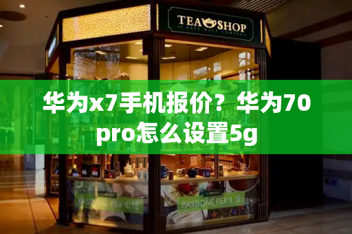 华为x7手机报价？华为70pro怎么设置5g-第1张图片-星选测评