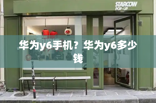 华为y6手机？华为y6多少钱-第1张图片-星选测评