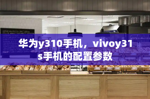 华为y310手机，vivoy31s手机的配置参数-第1张图片-星选测评